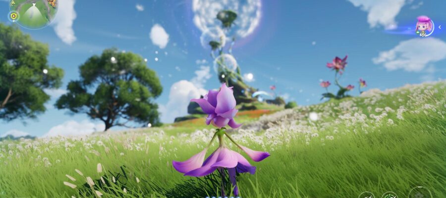 aniimo beta gameplay
